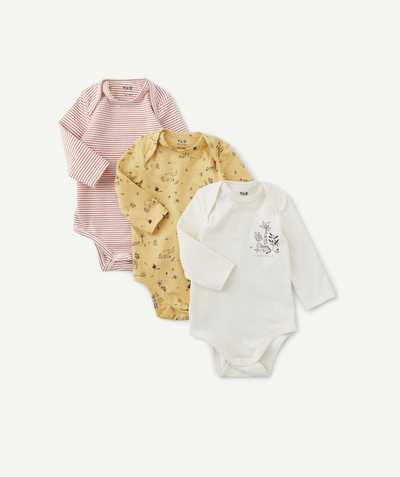 New collection Tao Categories - SET OF 3 ORGANIC COTTON BODYSUITS WITH NATURE-THEMED STRIPES