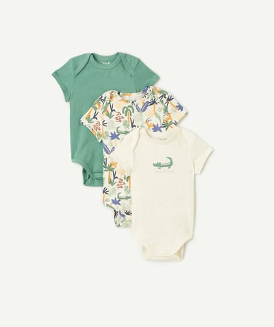 Bodysuit Tao Categories - set of 3 baby bodysuits in plain green organic cotton with crocodile print