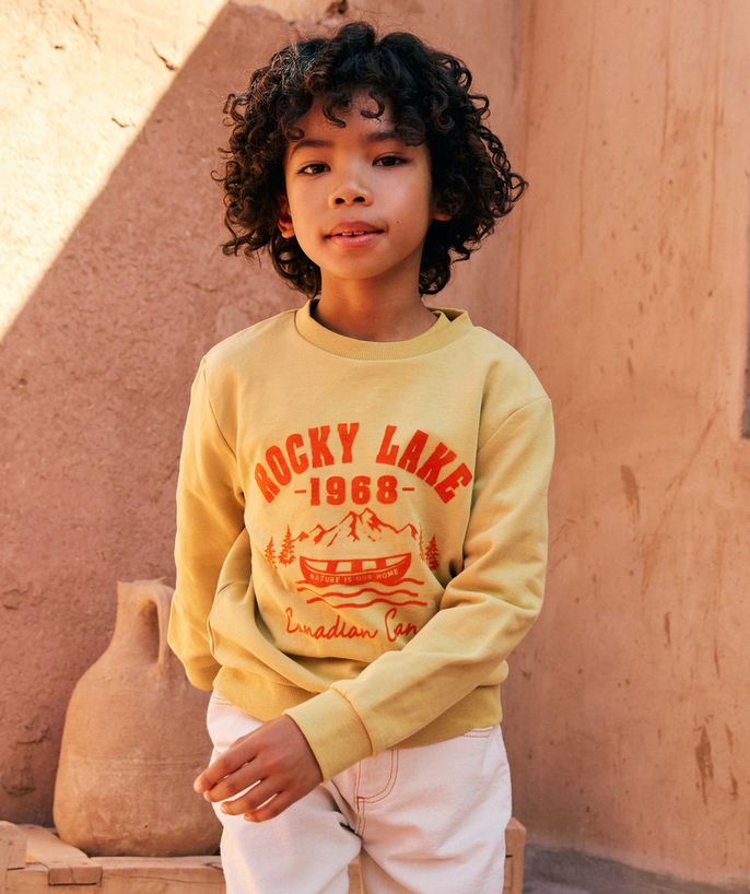 Nieuwe collectie Tao Categorieën - jongenssweater met lange mouwen in geel biologisch katoen met een rotsachtig meer als thema