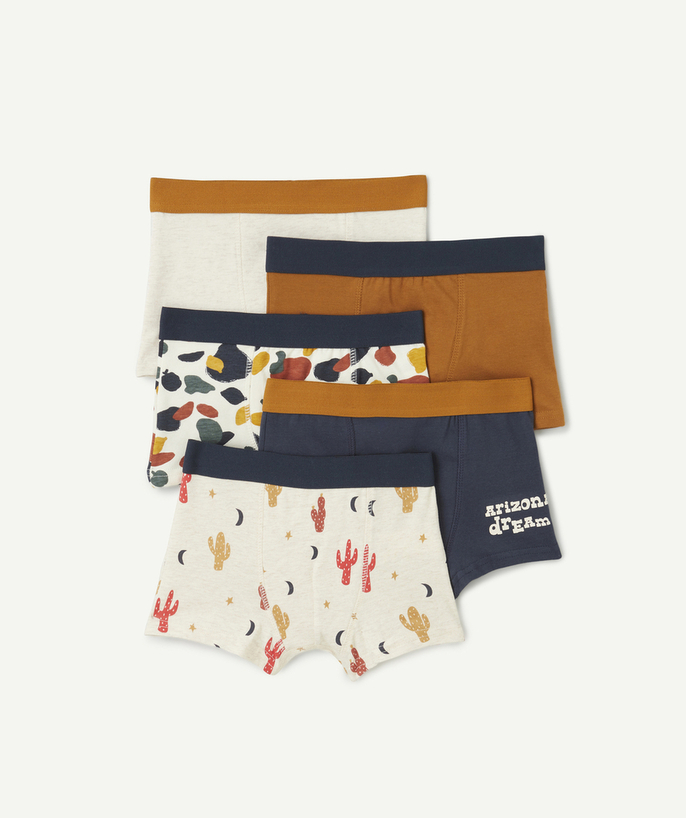 Underwear Tao Categories - SET OF 5 BOYS' BOXER SHORTS IN ECRU MOTTLED BLUE AND BROWN ORGANIC COTTON