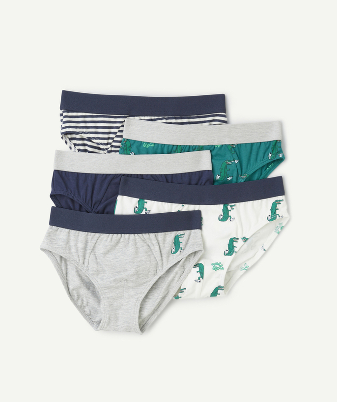 Underwear Tao Categories - pack of 5 crocodile-themed organic cotton boxer shorts for boys, blue-grey and green