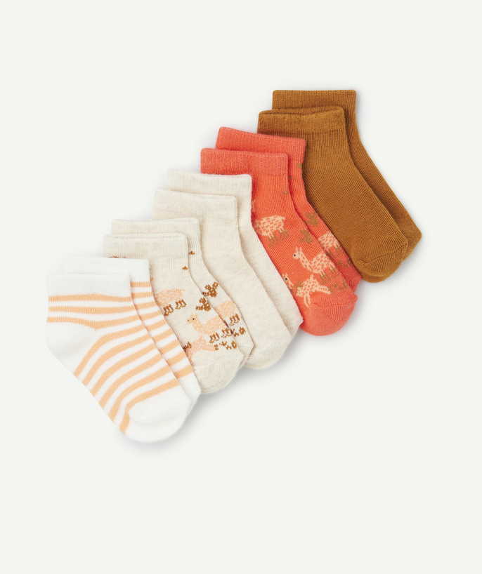 Sokken Tao Categorieën - 5 paar bruine en oranje babysokjes voor jongens