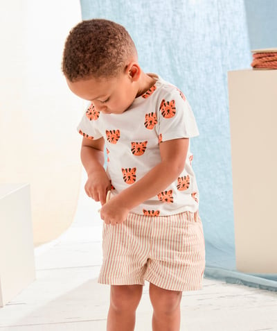 Baby boy Tao Categories - baby boy t-shirt in white organic cotton with orange tiger print