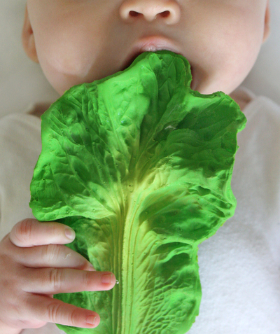 Christmas store Nouvelle Arbo   C - CABBAGE LEAF TEETHING TOY