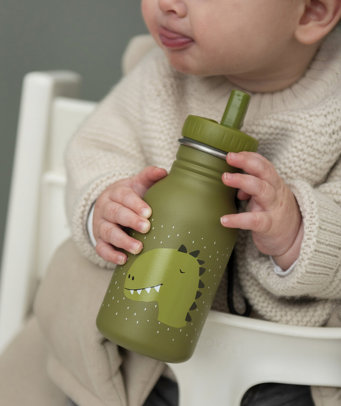 TRIXIE ® Tao Categories - CHILD'S 350 ML GREEN DINOSAUR WATER DRINKING BOTTLE