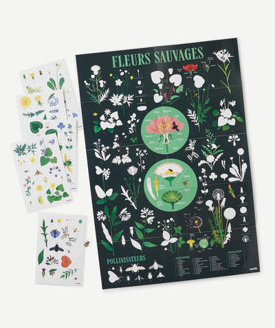 POPPIK ® Nouvelle Arbo   C - POSTER WITH 72 BOTANICAL STICKERS - 7-12 YEARS