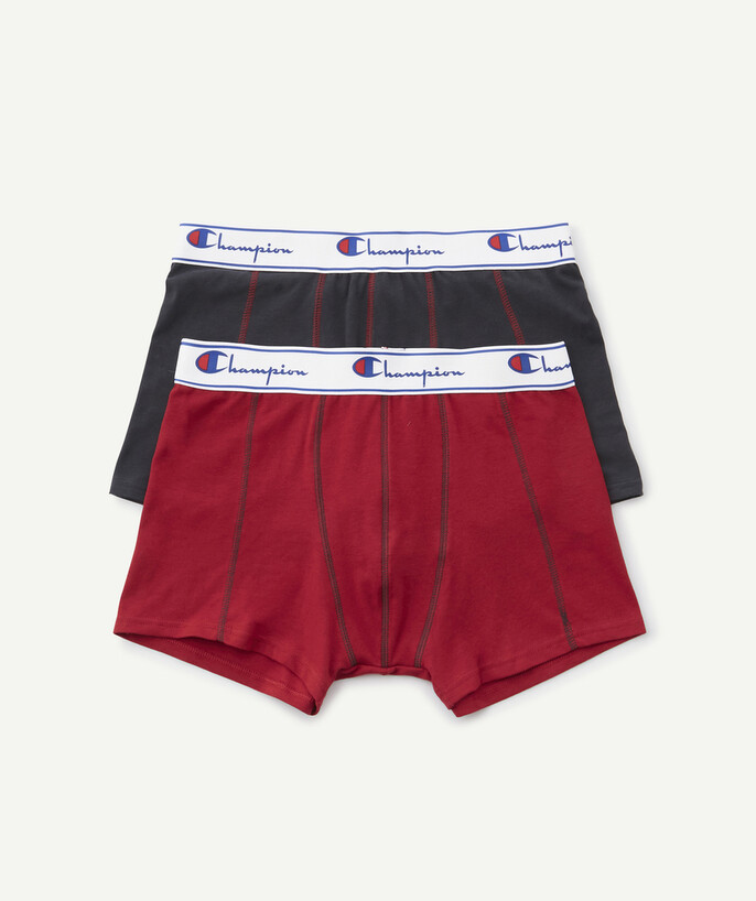 Brands Tao Categories - TWO PAIRS OF GREY AND RED BOXER SHORTS