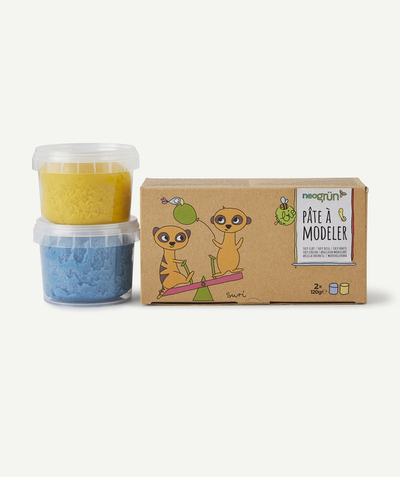 NEOGRUN® Tao Categories - YELLOW AND BLUE MODELLING CLAY FOR CHILDREN