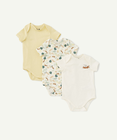 New collection Nouvelle Arbo   C - PACK OF THREE BODYSUITS IN ORGANIC COTTON, PLAIN OR PRINTED