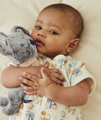 New collection Nouvelle Arbo   C - BEAUTIFULLY SOFT GREY AND BLUE KOALA SOFT TOY IN RECYCLED PADDING