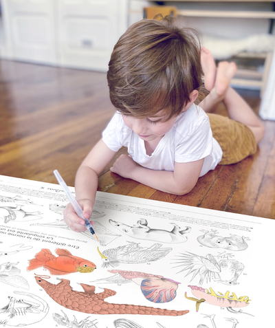 Private sales Tao Categories - INVISIBLE ANIMALS COLORING POSTER 6-16 YEARS