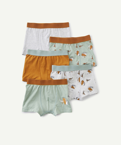 Underwear Nouvelle Arbo   C - SET OF FIVE BOYS' GREY AND GREEN ORGANIC COTTON BOXER SHORTS WITH ANIMALS