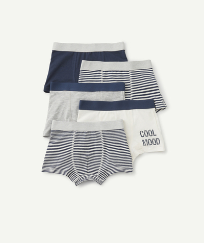 Underwear Nouvelle Arbo   C - SET OF FIVE BOYS' BLUE AND WHITE STRIPED ORGANIC COTTON BOXER SHORTS