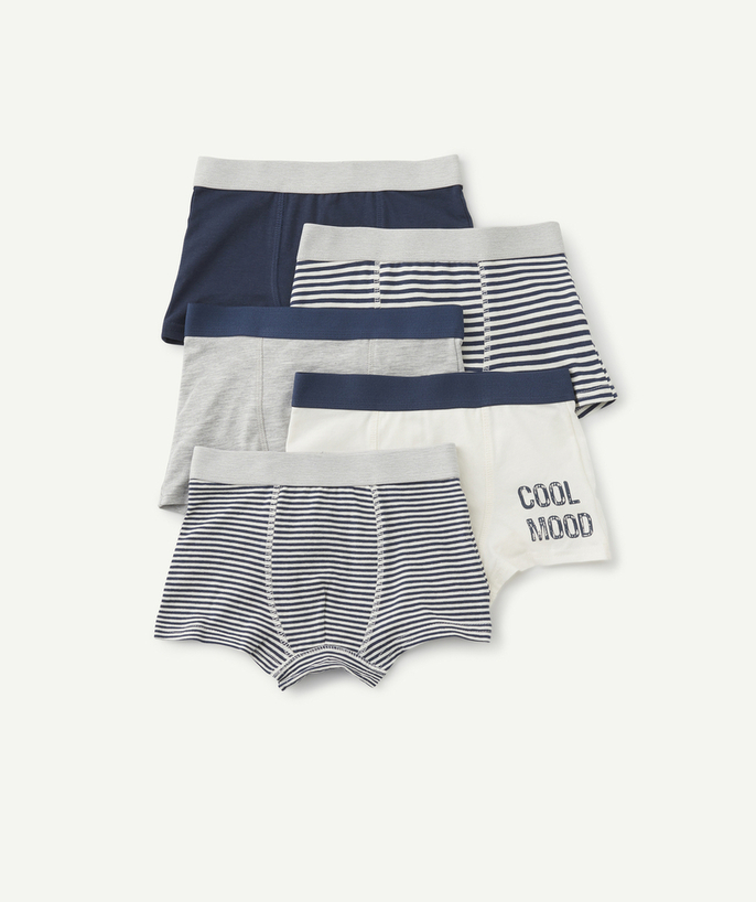 Underwear Tao Categories - SET OF FIVE BOYS' BLUE AND WHITE STRIPED ORGANIC COTTON BOXER SHORTS