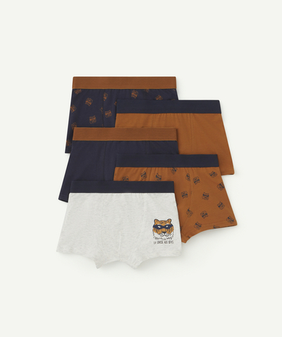 Boy Nouvelle Arbo   C - SET OF FIVE BOYS' OCHRE AND NAVY ORGANIC COTTON BOXER SHORTS