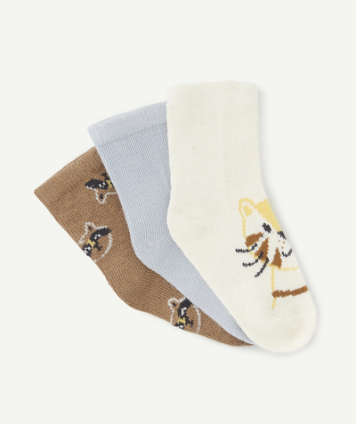 Socks Nouvelle Arbo   C - SET OF THREE PAIRS OF BABY BOYS' LONG CAT-THEMED SOCKS