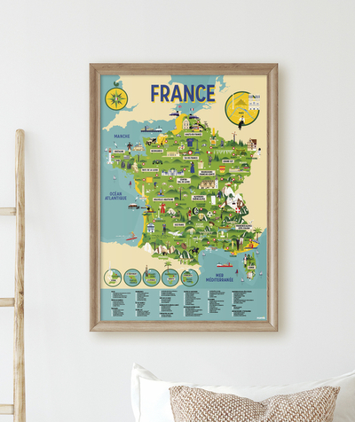 Boy Nouvelle Arbo   C - MAP OF FRANCE EDUCATIONAL POSTER