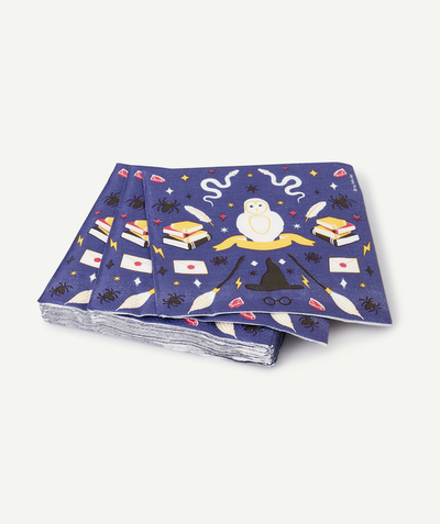 MY LITTLE DAY ® Tao Categories - 16 WIZARD TOWELS