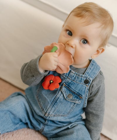 Christmas store Tao Categories - HIBISCUS TEETHING TOY