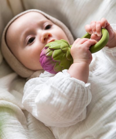 Christmas store Nouvelle Arbo   C - ARTICHOKE TEETHING TOY