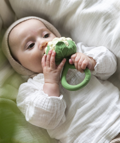 Christmas store Nouvelle Arbo   C - CAULIFLOWER TEETHING TOY
