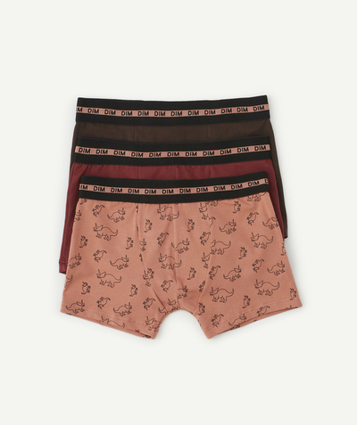 Underwear Nouvelle Arbo   C - PACK OF 3 PAIRS OF STRETCH COTTON FASHION BOXERS IN BURGUNDY AND DINOSAUR PRINT
