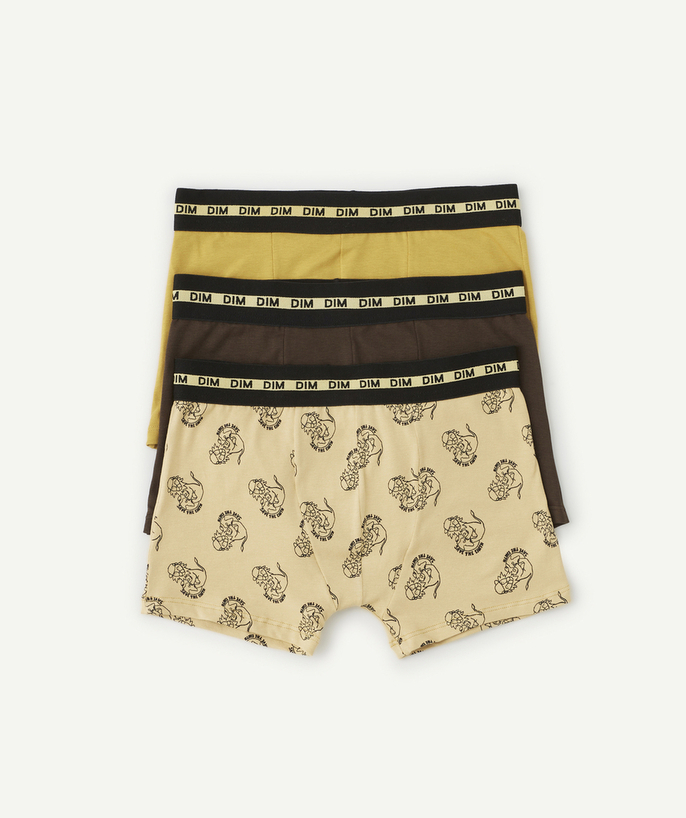 Onderkleding Tao Categorieën - PACK OF 3 PAIRS OF BOYS' FASHION STRETCH COTTON BOXER SHORTS IN MUSTARD AND ANIMAL PRINT