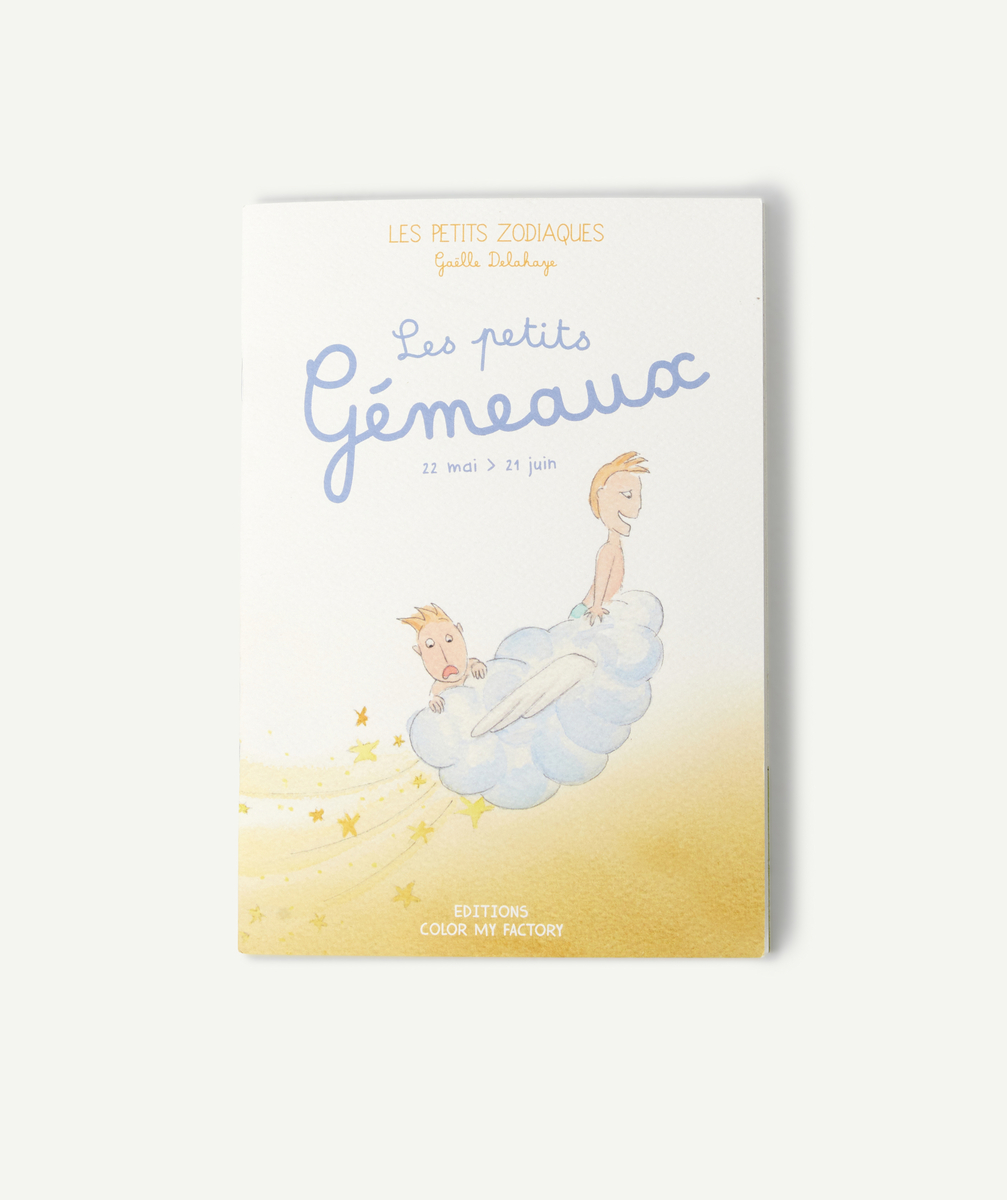 Livre les petits gémeaux enfant - TU