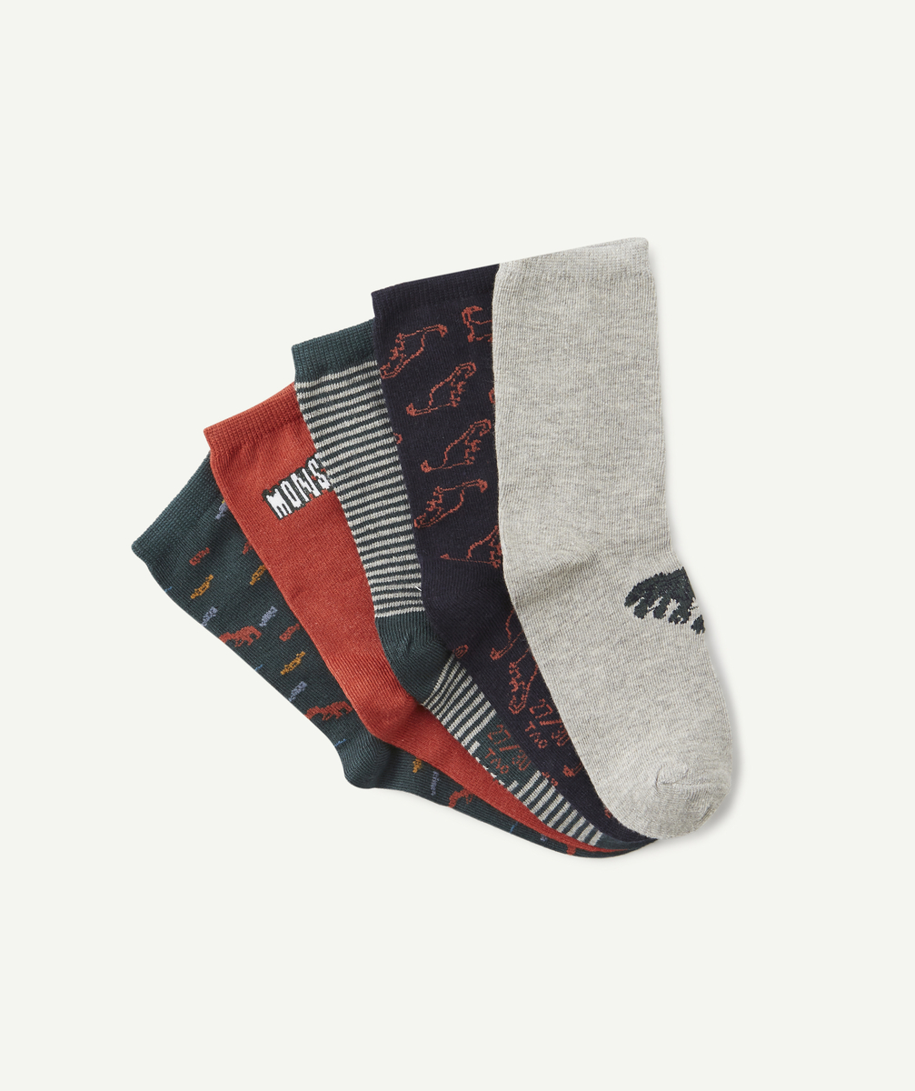 Le lot de 5 chaussettes hautes vertes et rouge à dinosaures - 24-26