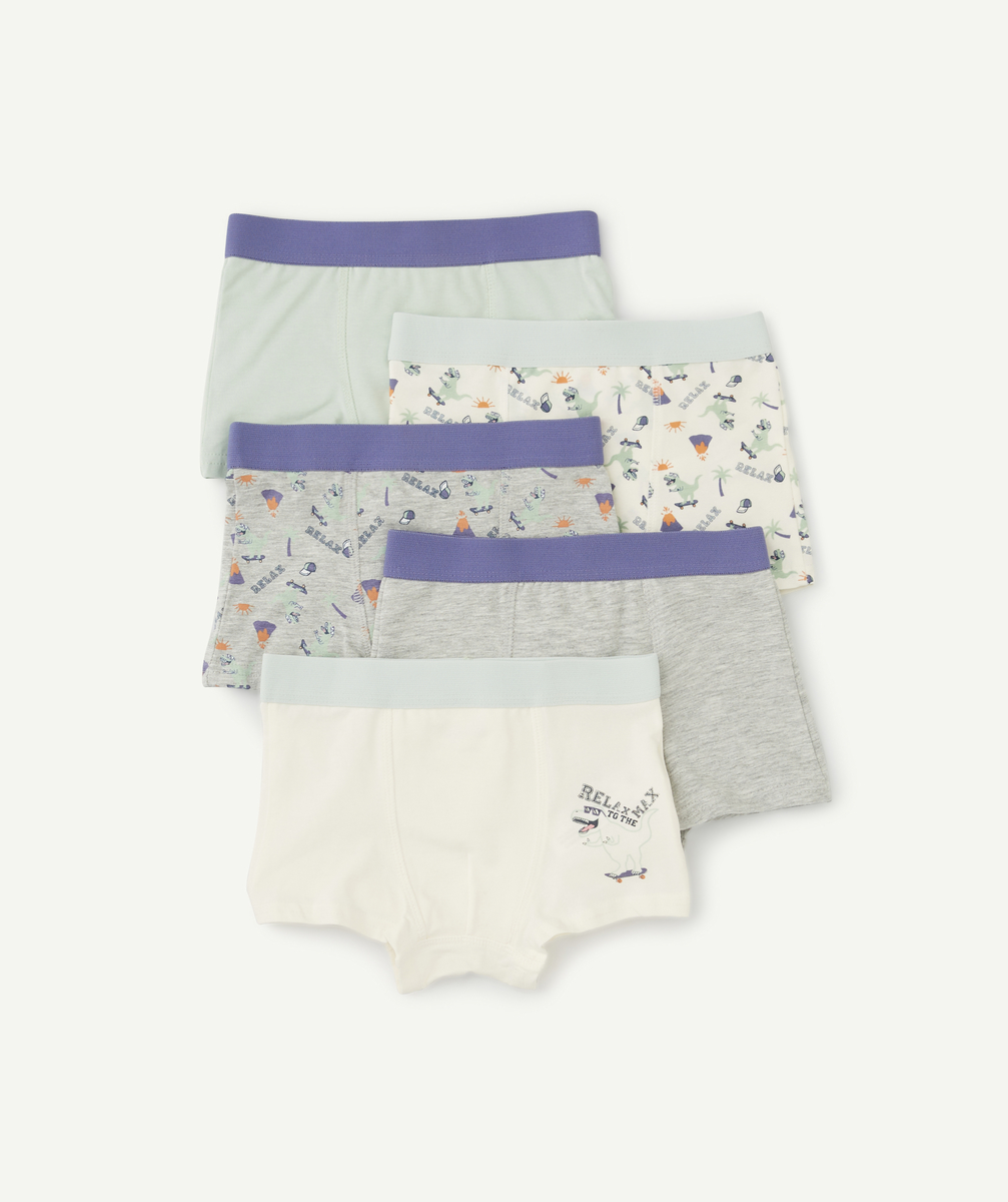 Lot de 5 boxers garçon en coton biologique thème dinosaure et skate - 5 A