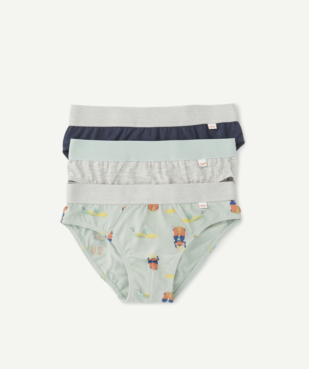 Lot de 3 slips garçon en coton bio imprimé animalier et unis - 10 A